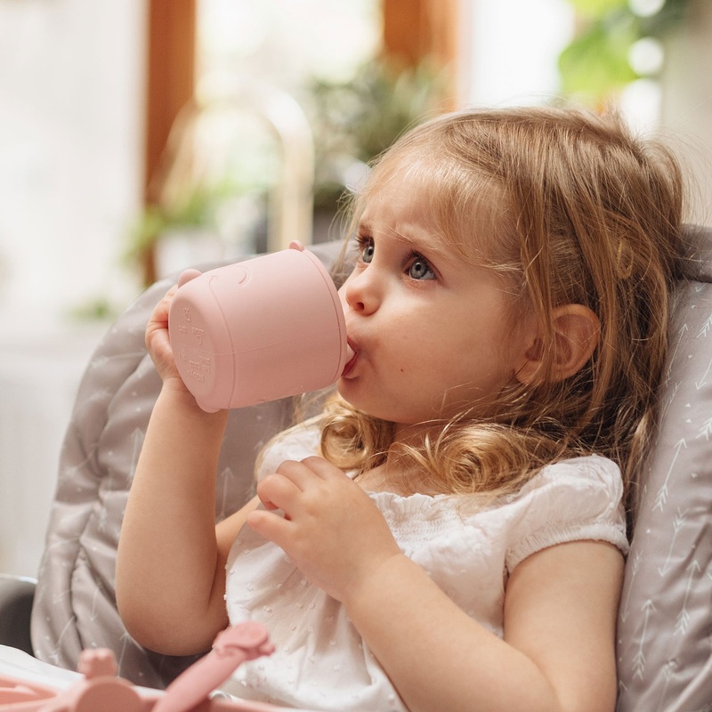 Animal Friends One-Handle Silicone Sippy Cup Pink Whale