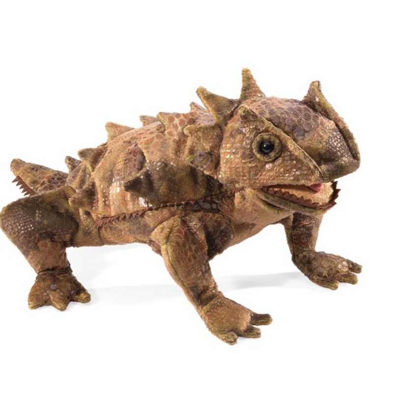 Horned Lizard
