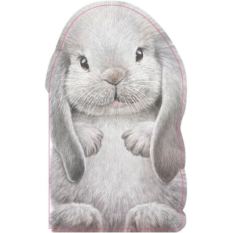 Furry Bunny (BB)