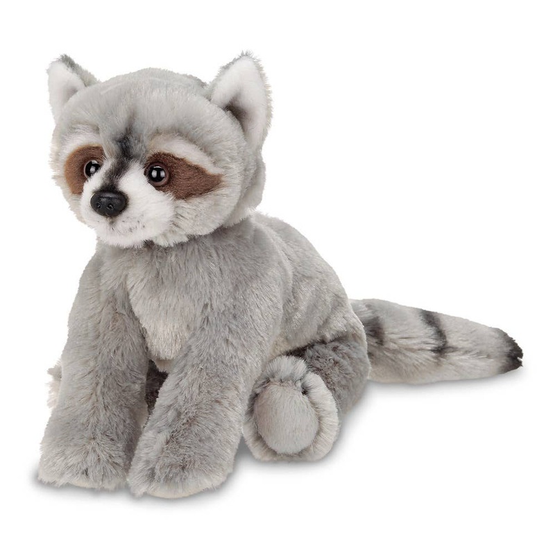 Lil’ Rocko the Raccoon