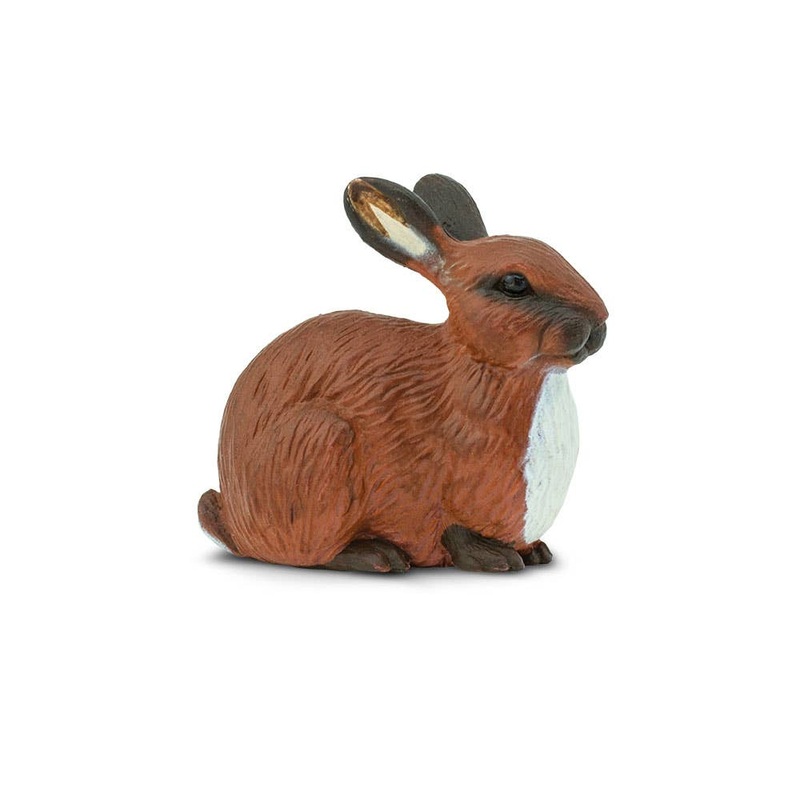 Rabbit – 245429
