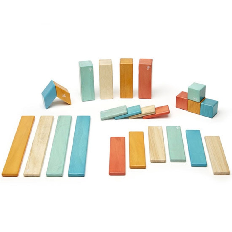 Tegu 24-Pieces  Block Set Tints