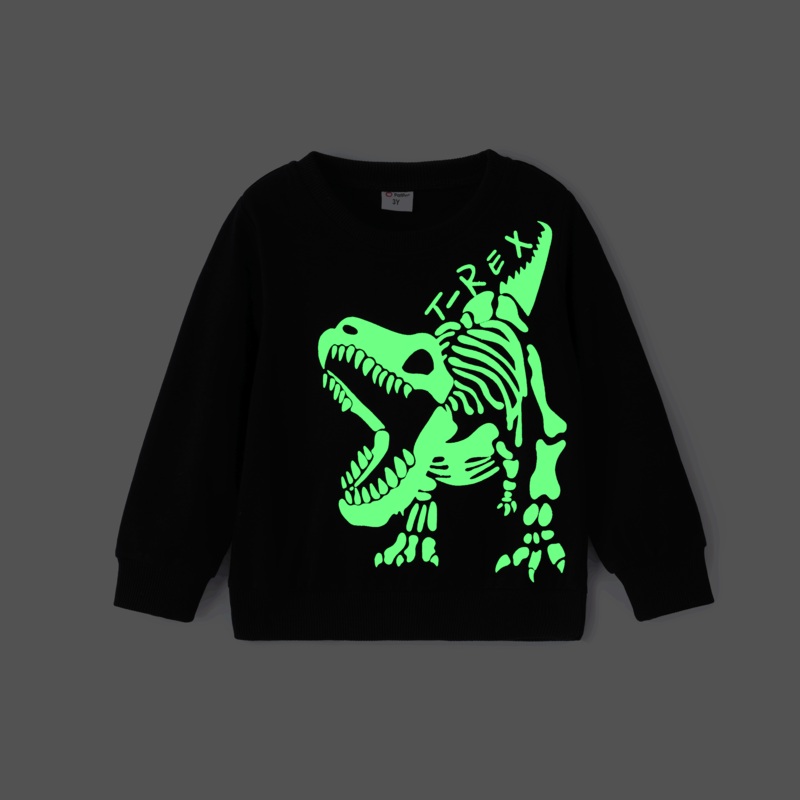 Toddler/Kid Boy Dinosaur Pattern Sweatshirt Kids: 2 Years Black