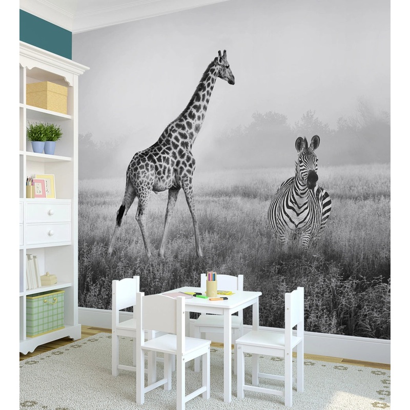 African Safari Photograph Wall Art