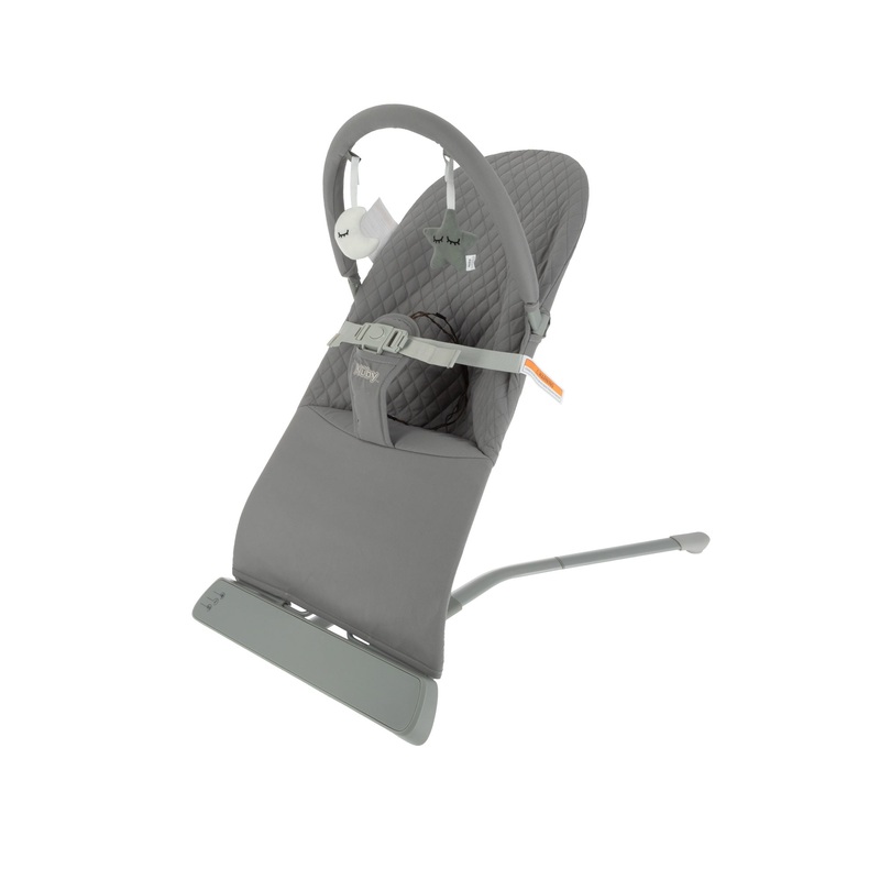 Baby Bouncer Seat | Grey
