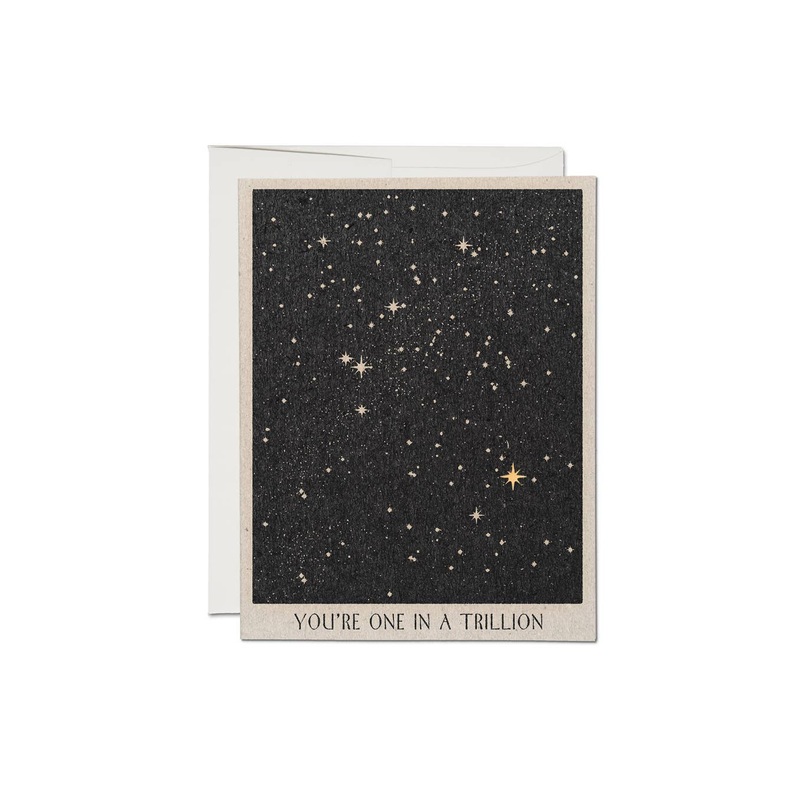 One in a Trillion friendship greeting card