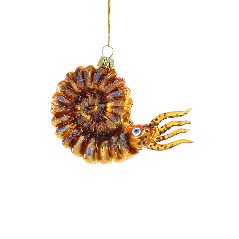Nautilus Holiday Ornament