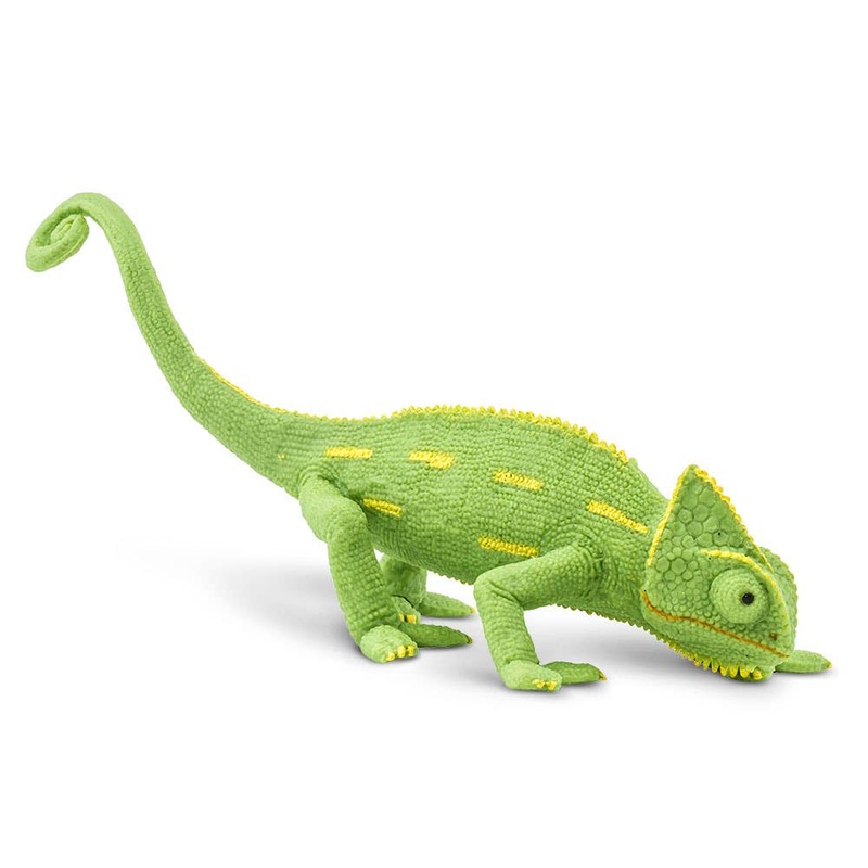 Veiled Chameleon Baby – 261029