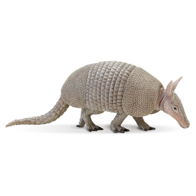 Armadillo – 262829