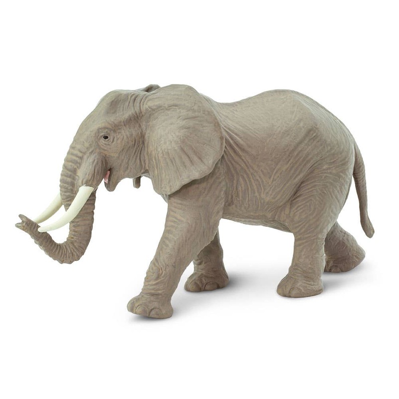 African Elephant – 270029