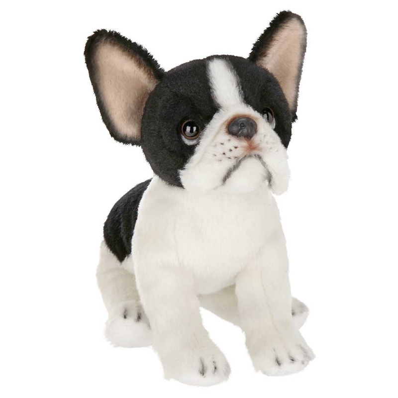 Lil’ Oliver the French Bulldog