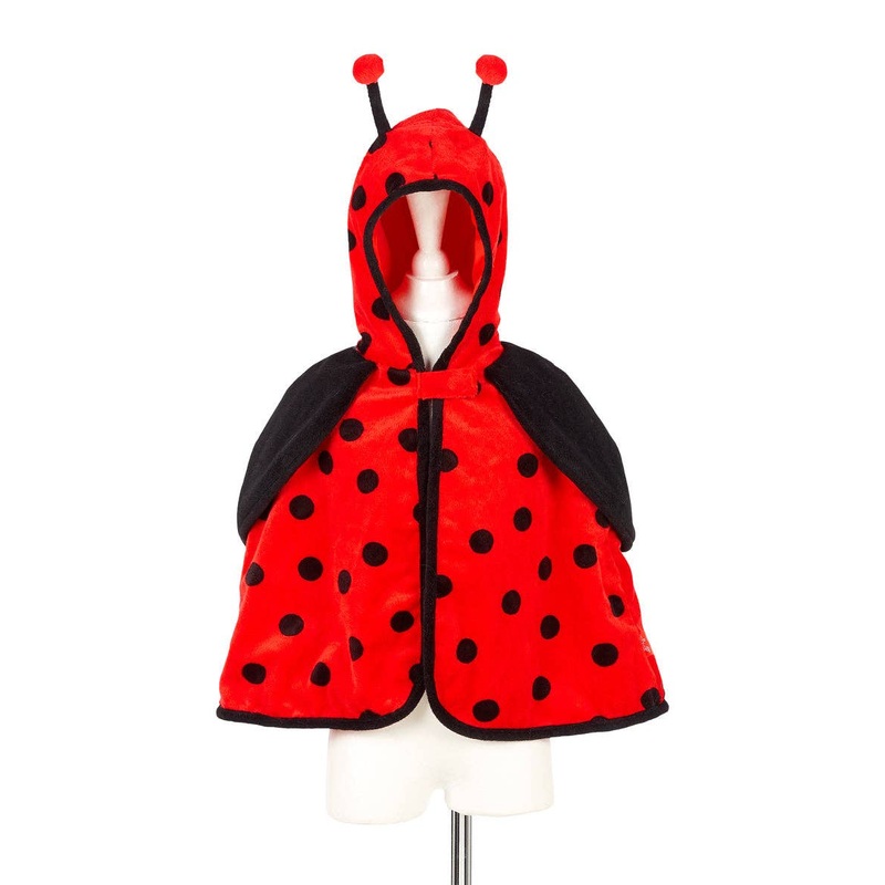 Layla Ladybird Costume