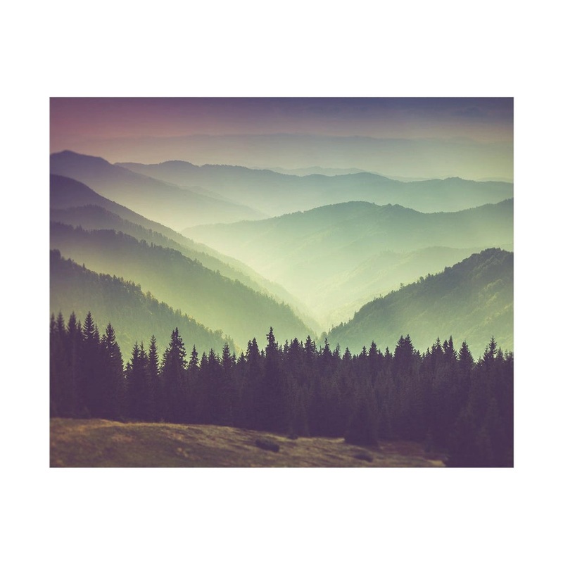 Mountain View Photograph Wall Art