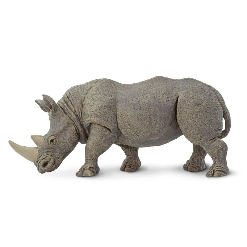 White Rhino – 270229