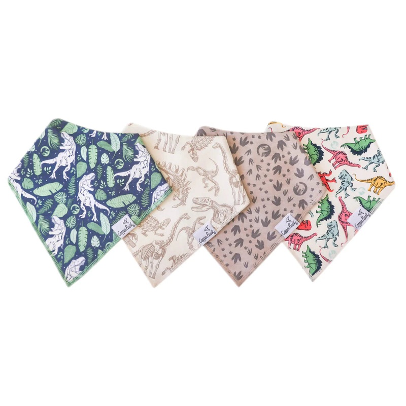 Baby Bandana Bibs – Jurassic