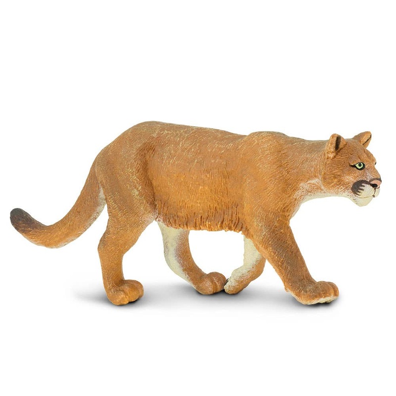 Mountain Lion – 291829