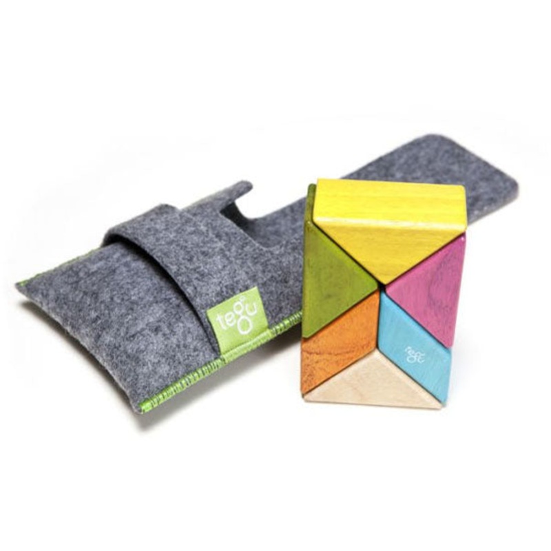 Tegu 6 Piece Pocket Pouch Prism Magnetic Wooden Block Set – Tints