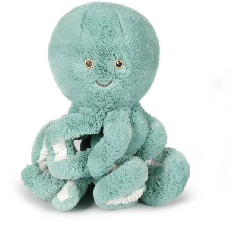 Blue Reef Octopus