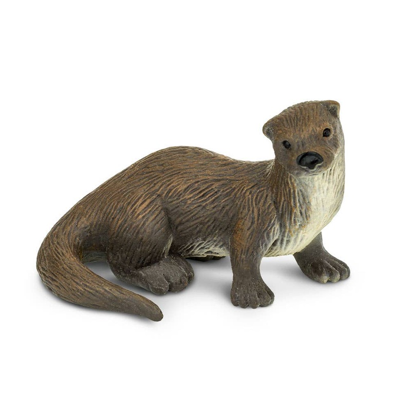 River Otter – 291529