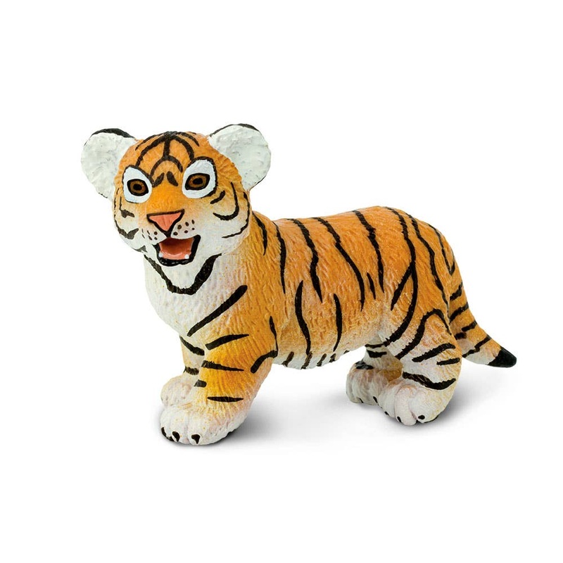 Bengal Tiger Cub – 294929