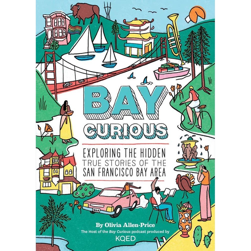 Bay Curious