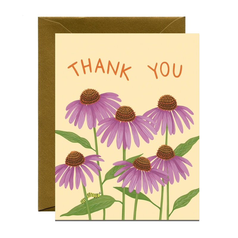 Coneflower Echinacea Caterpillar Thank You Card