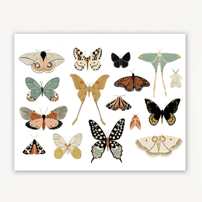 Butterfly Wall Art Room Decor Butterfly Collector (Landscape)