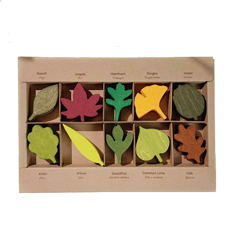 Woodland Leaves
