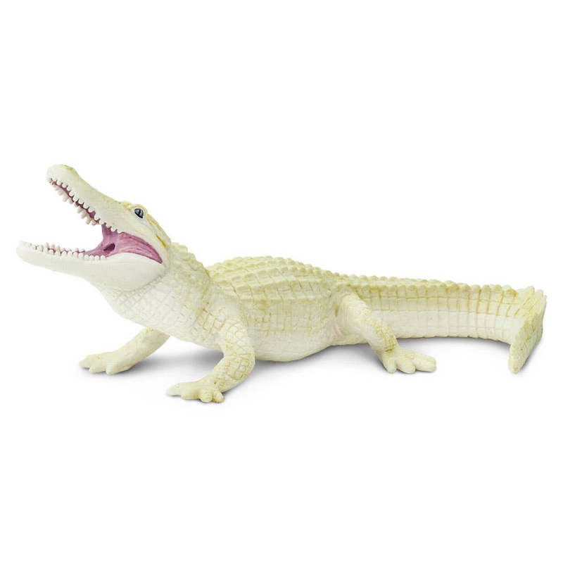 White Alligator – 291929