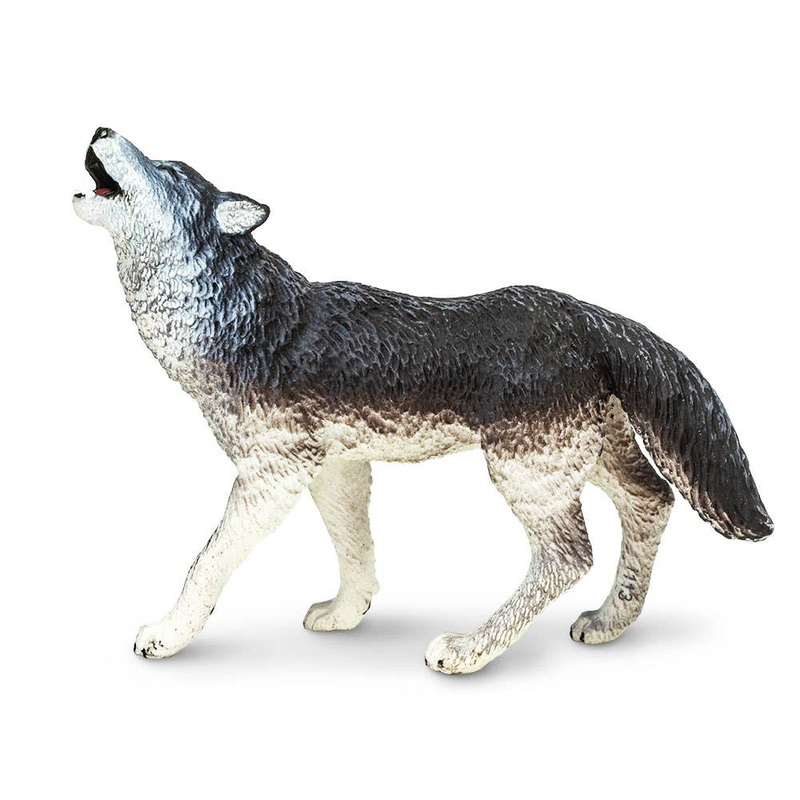 Gray Wolf – 273829