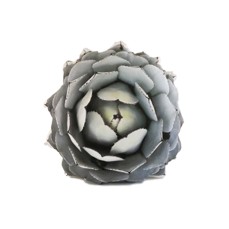 LA Agave Pillow